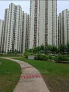 2BHK Multistorey Apartment for Rent in Amrapali Dream Valley at Noida Extension - Photo 8