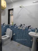 2BHK Multistorey Apartment for Rent in Arun Vihar at Arun Vihar, Sector 37, Golf course Metro - Photo 14
