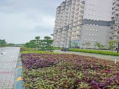 Studio Apartment for New Property in Beetle Orchid at Knowledge Park 3 - Photo 5