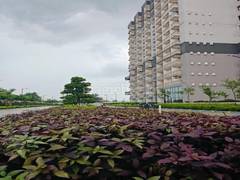 Studio Apartment for New Property in Beetle Orchid at Knowledge Park 3 - Photo 9