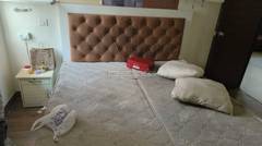 3BHK Multistorey Apartment for Rent in Jaypee Green Kosmos Phase 2 at Sector 134, Noida Express Way - Photo 5