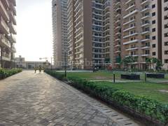 3BHK Multistorey Apartment for Rent in Amrapali Crystal Homes at Sector 76 - Photo 13