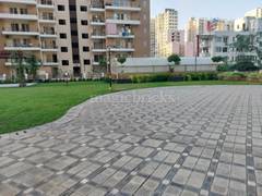 3BHK Multistorey Apartment for Rent in Amrapali Crystal Homes at Sector 76 - Photo 7