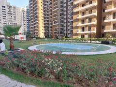 3BHK Multistorey Apartment for Rent in Amrapali Crystal Homes at Sector 76 - Photo 9