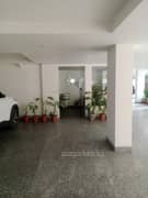 4BHK Builder Floor Apartment for Rent in Green Park - Photo 11