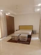 4BHK Builder Floor Apartment for Rent in Green Park - Photo 6
