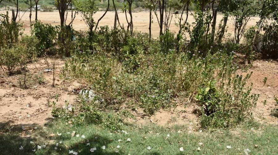 14 Marla Plot For Sale in Saksham Welfare Association, Sector 22A, Gurgaon