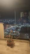 3BHK Multistorey Apartment for Rent in Begumpur Khatola, Sector 74 - Photo 6