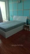 3BHK Multistorey Apartment for Rent in DLF The Crest at Phase 5 DLF - Photo 2