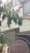 3BHK Builder Floor Apartment for Resale in Ram Vihar Anand Vihar - Photo 1