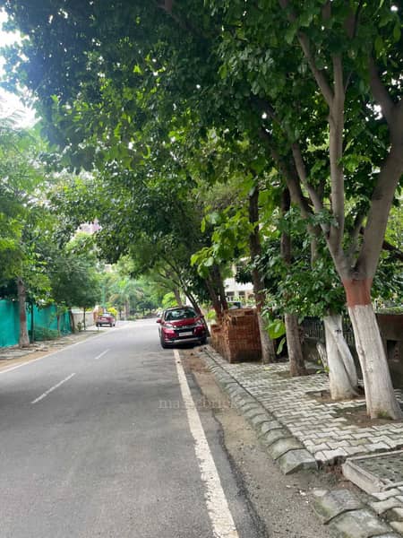 430 Sqyrd Plot For Sale in South City 2, Gurgaon