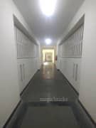 1BHK Multistorey Apartment for New Property in Dwarka Greens at Najafgarh - Photo 5