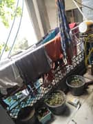 1BHK Builder Floor Apartment for Resale in Sant Nagar Burari - Photo 6