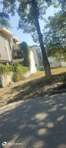 161 Sqyrd Plot For Sale in Satya Merano Greens, Sector 99A, Gurgaon