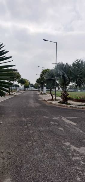 300 Sqyrd Plot For Sale in IREO Plots, Sector 60, Gurgaon