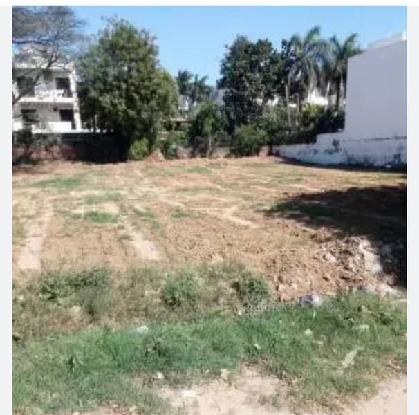 1350 Sqft Plot For Sale in Bhondsi, Gurgaon
