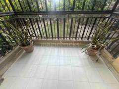 3BHK Multistorey Apartment for Rent in Amrapali Princely Estate at Sector 76 - Photo 12