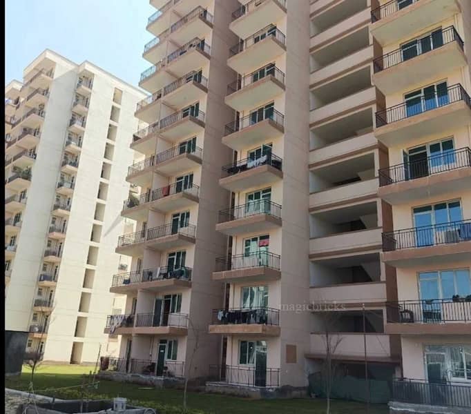 1 BHK 230 Sq-ft Flat/Apartment For Rent in Krishna Colony, Gurgaon