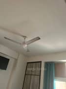 3BHK Multistorey Apartment for Rent in AVJ Heights at Sector-Zeta - Photo 12