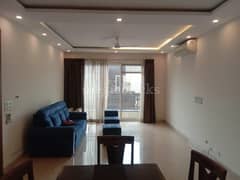 4BHK Builder Floor Apartment for Rent in Hauz Khas Enclave, Hauz Khas - Photo 2