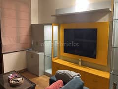 4BHK Multistorey Apartment for Rent in Uppal Builder Floors at Panchsheel Park - Photo 10