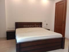 4BHK Builder Floor Apartment for Rent in Hauz Khas Enclave, Hauz Khas - Photo 3