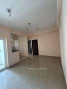2BHK Multistorey Apartment for Rent in Amrapali Dream Valley High Life 2 at Noida Extension - Photo 1