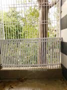 2BHK Multistorey Apartment for Rent in Guru Angad Nagar West, Laxmi Nagar - Photo 9