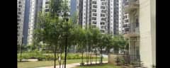 3BHK Multistorey Apartment for New Property in Amrapali Dream Valley at Noida Extension - Photo 1