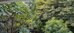 3BHK Builder Floor Apartment for Rent in Friends Colony East, New Friends Colony - Photo 8