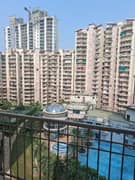 3BHK Multistorey Apartment for Rent in Ajnara Homes Phase II at Noida Extension - Photo 4