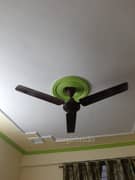 2BHK Builder Floor Apartment for Resale in Hindon Vihar, Sector 49, Dadri Road - Photo 3