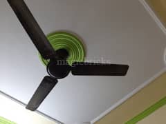 2BHK Builder Floor Apartment for Resale in Hindon Vihar, Sector 49, Dadri Road - Photo 9