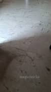 2BHK Multistorey Apartment for Rent in Overseas Apartment at Sector 62, NH 24 - Photo 1