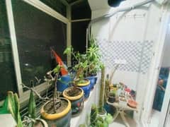 3BHK Multistorey Apartment for Rent in BHA Millenium Tower at Sector 62, NH 24 - Photo 13