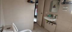 3BHK Multistorey Apartment for Rent in Stellar One at Noida Extension - Photo 7
