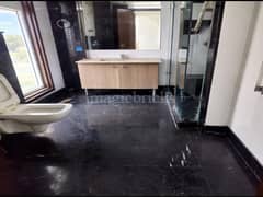 4BHK Multistorey Apartment for Rent in Green Park - Photo 7