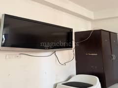 3BHK Multistorey Apartment for Resale in Signature Global City 81 at Sector 81 - Photo 11