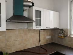 2BHK Multistorey Apartment for Rent in Stellar Jeevan at Noida Extension - Photo 7