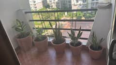 4BHK Multistorey Apartment for Resale in Supertech Emerald Court at Sector 93A, Noida Express Way - Photo 3