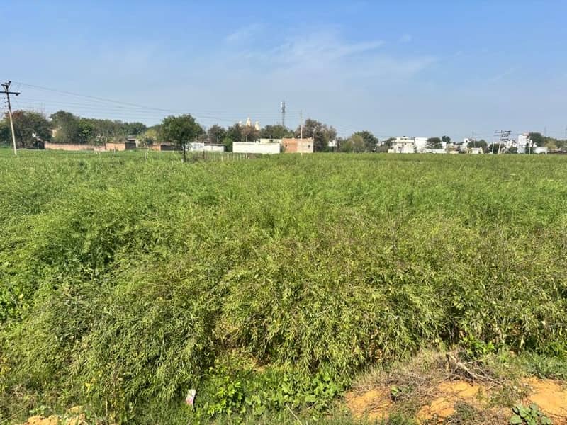 1000 Sqyrd Plot For Sale in Sohna, Gurgaon