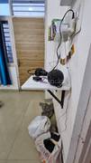 2BHK Multistorey Apartment for Resale in - Photo 12