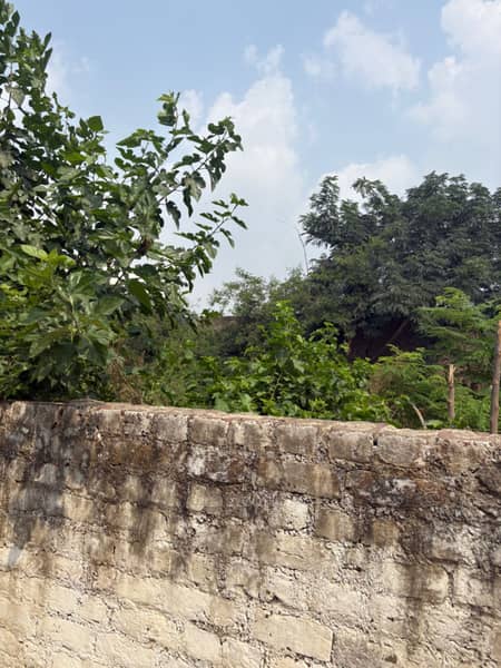 500 Sqft Plot For Sale in Hayatpur, Gurgaon