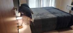 2BHK Multistorey Apartment for Resale in Godrej Tranquil at Kandivali East - Photo 8