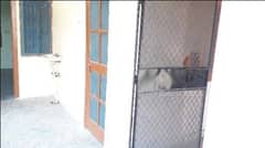 2BHK Multistorey Apartment for Rent in NTPC Anandam Plaza at Chi 2 - Photo 12