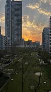 3BHK Multistorey Apartment for Rent in IREO Skyon at Sector 60 - Photo 11