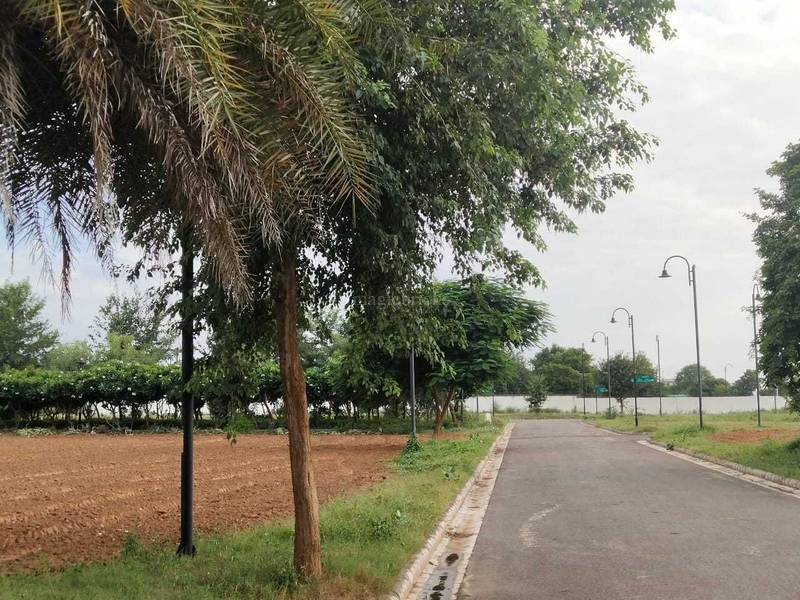 172 Sqyrd Plot For Sale in ROF Insignia Park, Hayatpur, Gurgaon